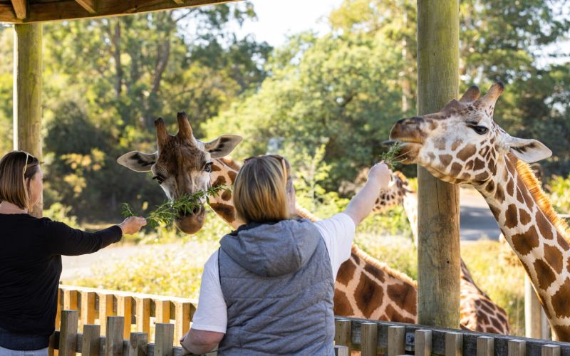 Orana Wildlife Park